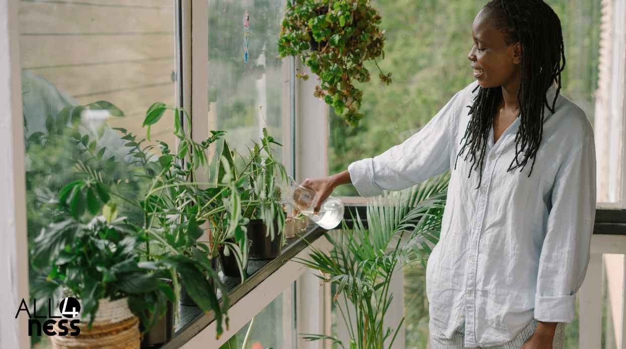 Plantas para mantener fresco el hogar